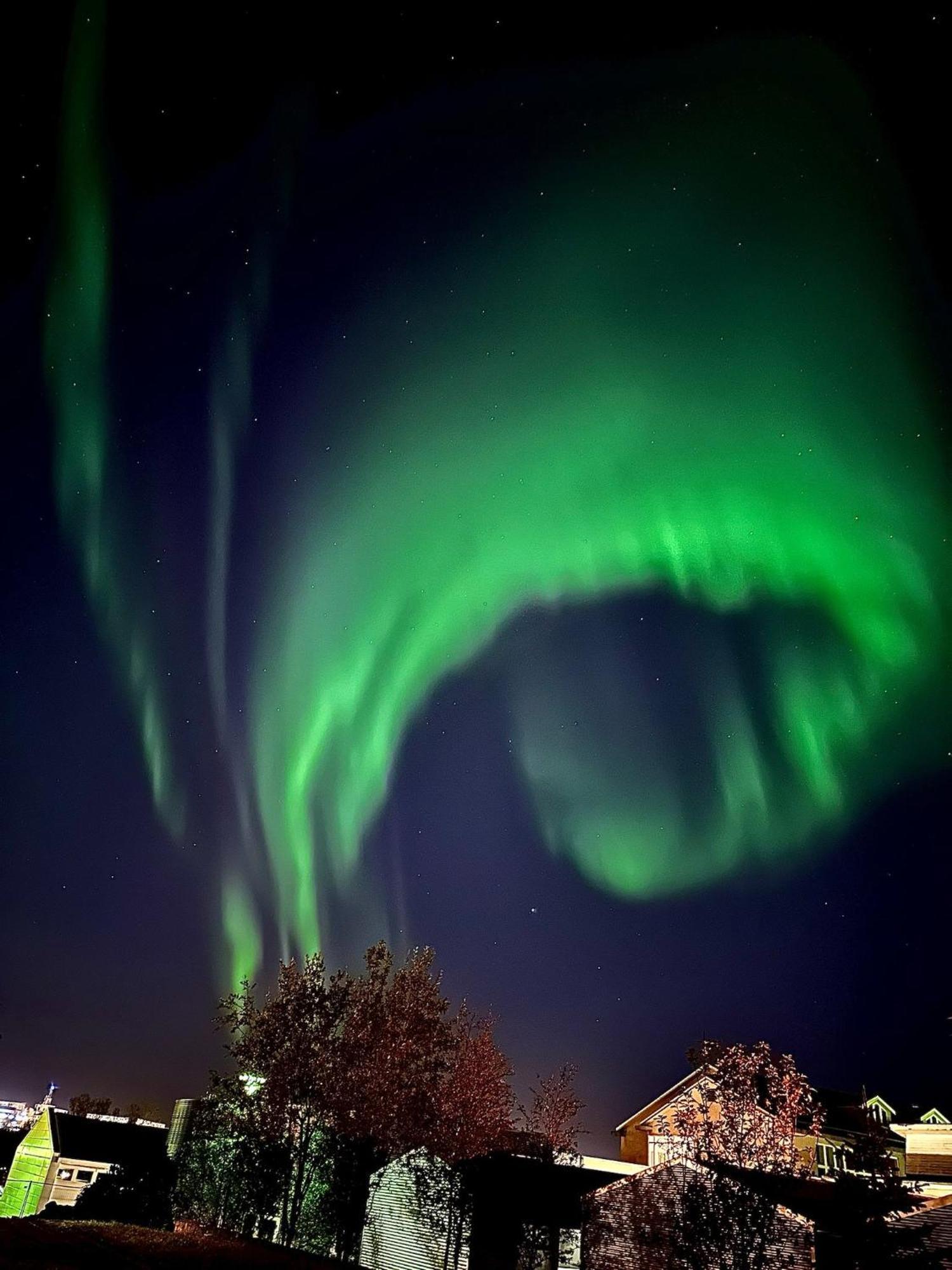 Casa Disa - Dreams, A Boutique Guesthouse In Reykjavik City'S Central Park And Botanical Garden In Laugardalur, Hot-Spring-Valley Exterior foto