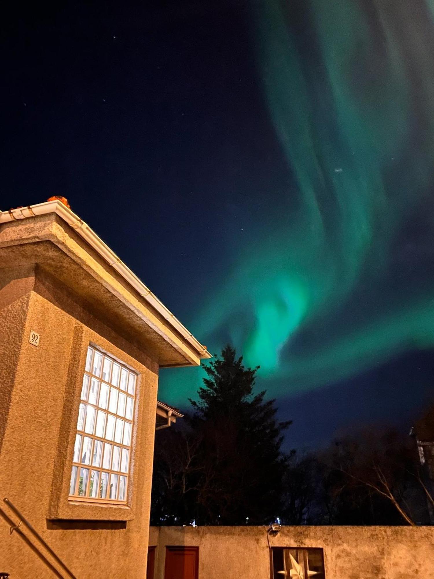 Casa Disa - Dreams, A Boutique Guesthouse In Reykjavik City'S Central Park And Botanical Garden In Laugardalur, Hot-Spring-Valley Exterior foto